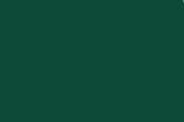 Colorbond Cottage Green
